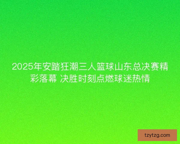 2025年安踏狂潮三人篮球山东总决赛精彩落幕 决胜时刻点燃球迷热情
